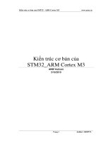 Kiến trúc cơ bản của STM32 ARM Cortex m3