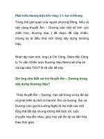 Phát triển thương hiệu bền vững: Có Âm có Dương pdf