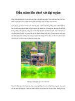 Đầu năm lên chơi xứ đại ngàn docx