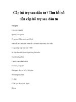 Cấp hỗ trợ sau đầu tư  Thu hồi số tiền cấp hỗ trợ sau đầu tư pdf