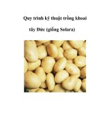 Quy trình kỹ thuật trồng khoai tây Đức (giống Solara) pot