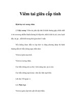 Viêm tai giữa cấp tính pps