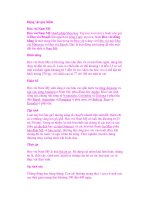 Động vật quý hiếm :Heo vòi Nam Mỹ potx