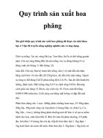 Quy trình sản xuất hoa phăng docx