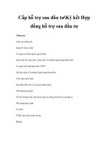 Cấp hỗ trợ sau đầu tưKý kết Hợp đồng hỗ trợ sau đầu tư docx