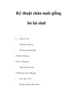 Kỹ thuật chăn nuôi giống bò lai sind pptx