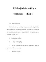 Kỹ thuật chăn nuôi lợn Yorkshire – Phần 1 potx