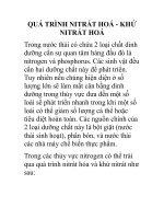 QUÁ TRÌNH NITRÁT HOÁ - KHỬ NITRÁT HOÁ T potx