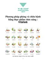 Phương pháp phòng và chữa bệnh bằng thực phẩm chức năng : vision ppsx