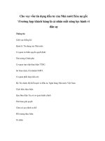 Cho vay vốn tín dụng đầu tư của Nhà nướcXóa nợ gốc Trường hợp khách hàng là cá nhân mất năng lực hành vi dân sự doc