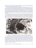 Khí Hậu Trong Nuôi Trồng Nông Nghiệp phần 7 potx