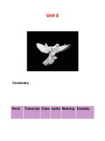 Unit 8 Vocabulary docx