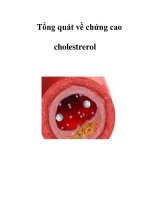 Tổng quát về chứng cao cholestrerol pot