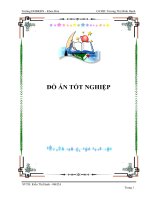 Đồ án tốt nghệp pot