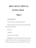 BIẾN CHỨNG VIÊM TAI XƯƠNG CHŨM - Phần 2 pps