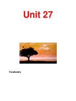 Unit 27 Vocabulary pdf