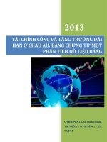 TÀI CHÍNH CÔNG VÀ TĂNG TRƯỞNG DÀI HẠN Ở CHÂU ÂU: BẰNG CHỨNG TỪ PHÂN TÍCH DỮ LIỆU BẢNG