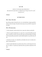 QUY CHẾ QUẢN LÝ VÀ SỬ DỤNG TRỤ SỞ BỘ NỘI VỤ pdf