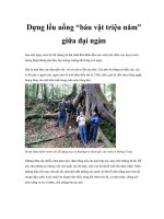 Dựng lều uống “báu vật triệu năm” giữa đại ngàn pptx