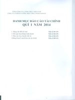 tổng công ty lương thực miền nam công ty cổ phần lương thực thực phẩm safoco danh mục báo cáo tài chính quý 1 năm 2014