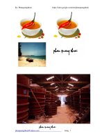 Tài liệu công nghệ chế biên nước mắm -ks.phanquangthoai docx