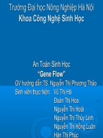 An Toàn Sinh Học “Gene Flow” ppsx