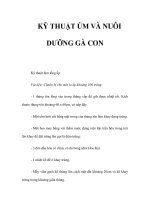 KỸ THUẬT ÚM VÀ NUÔI DƯỠNG GÀ CON potx