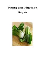 Phương pháp trồng cải bẹ đông dư pdf