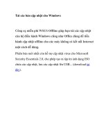 Tải các bản cập nhật cho Windows pdf