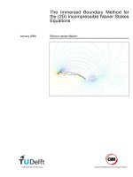The immersed boundary method for the (2d) incompressible navier stokes equations LUANVAN TH s