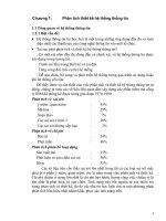 Giáo trình phân tích thiết kế hệ thống -Chương 1 pdf