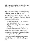 Các nguyên tố hoá học và sinh vật trong đất được phân chia như thế nào? potx