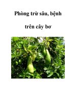 Phòng trừ sâu, bệnh trên cây bơ docx