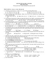 ĐỀ THI THỬ ĐH HÓA HỌC 2010