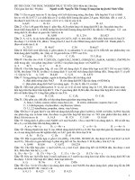 DE THI DAI HOC SO 1 TUOI TRE ONLINE 2010