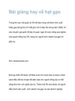 Bài giảng hay về hạt gạo pptx