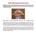 ai chưa biết chọn thịt gà thì vô đây nghe