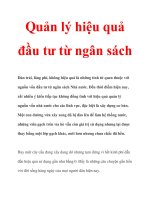 Quản lý hiệu quả đầu tư từ ngân sách pptx