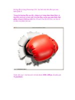 Hướng dẫn sử dụng Photoshop CS5: Tạo hình ảnh nắm đấm qua màn hình (phần I) ppsx
