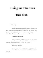 Giống lúa Tám xoan Thái Bình ppsx