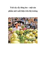 Trái cây sấy đóng lon – một sản phẩm mới xuất hiện trên thị trường potx