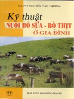 Nông Nghiệp Chăn Nuôi - Bò Sữa part 1 pdf