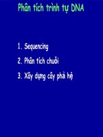 Công nghệ sinh học trong bảo vệ thực vật - Phân tích DNA ppsx