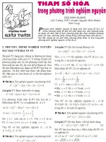 Tham số hóa trong phương trình nghiệm nguyên ppt