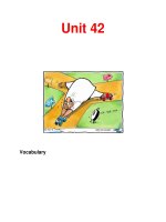 Unit 42 Vocabulary pdf