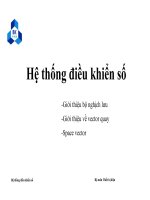 Hệ thống điều khiển số - Giới thiệu bộ nghịch lưu - Giới thiệu về vector ppsx