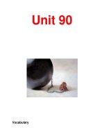Từ vựng tiếng anh-Unit 90 docx
