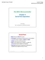 Các vi điều khiển 8051 pps