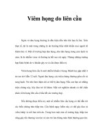 Viêm họng do liên cầu potx
