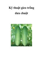 Kỹ thuật gieo trồng dưa chuột potx
